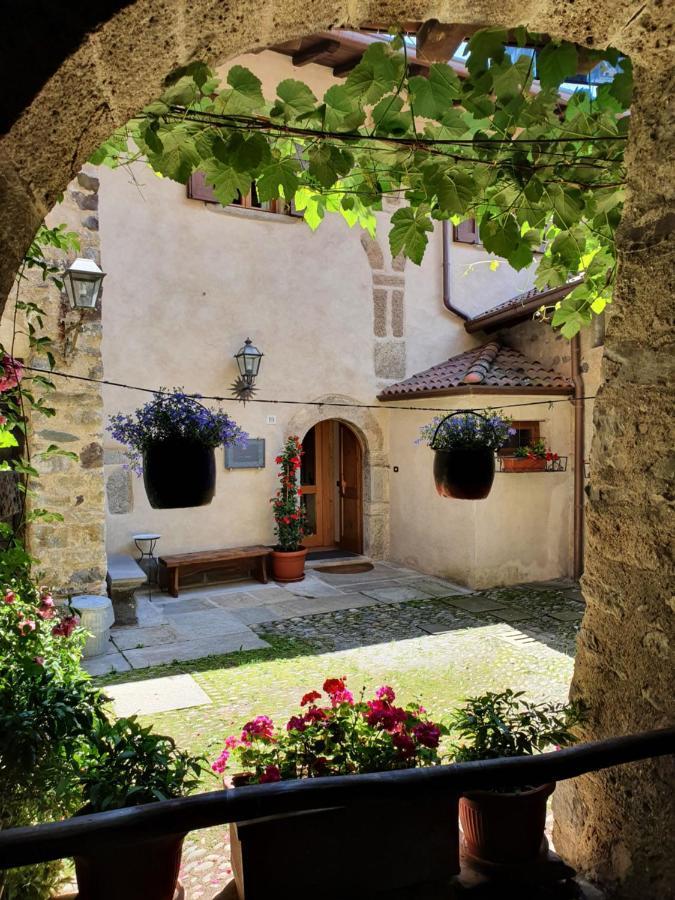 La Tana Del Tasso Rooms&Breakfast Camerata Cornello 外观 照片